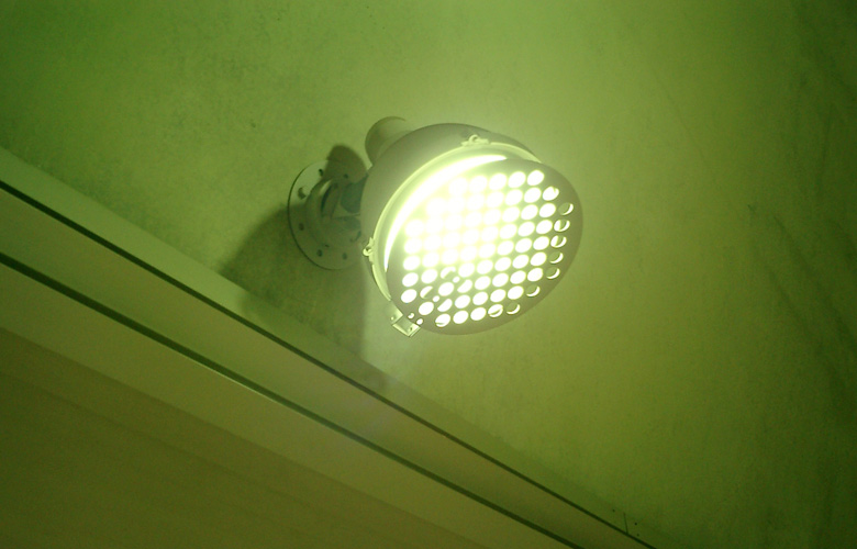 nest of light