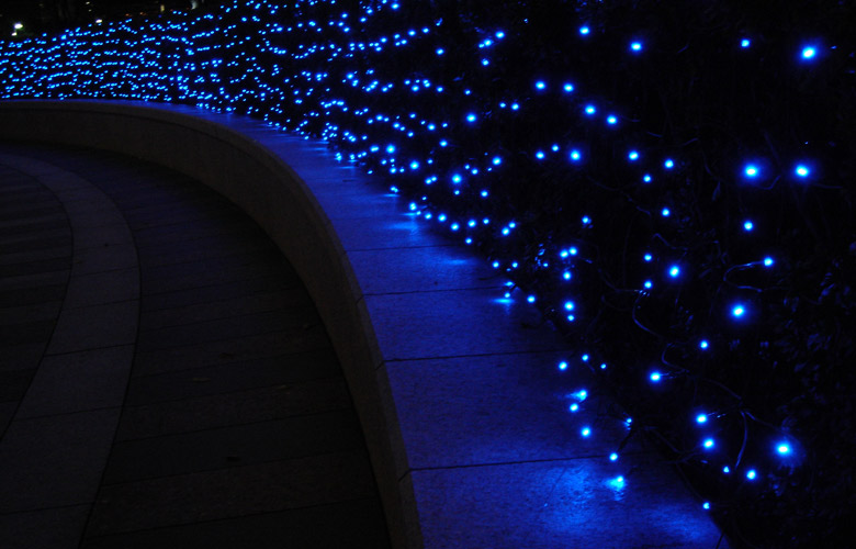 blue at the blue