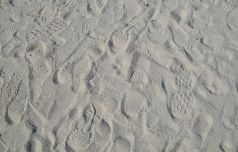 hootprint