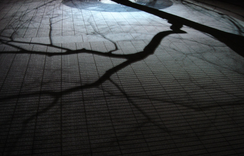 Lines and Geoglyphs of NANIKA