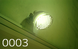 nest of light