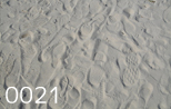 hootprint