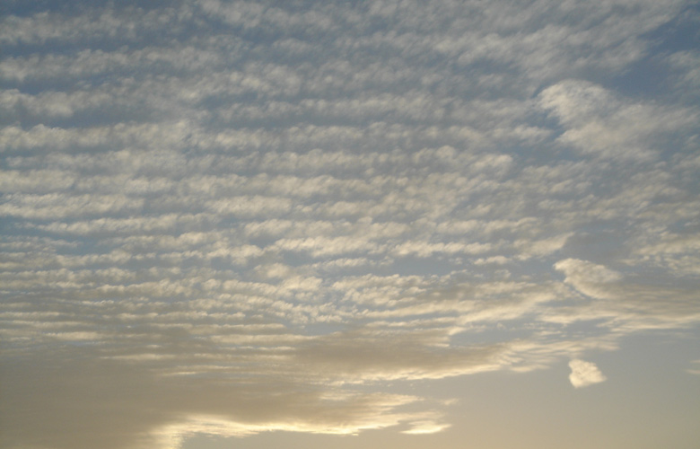 sky 0020